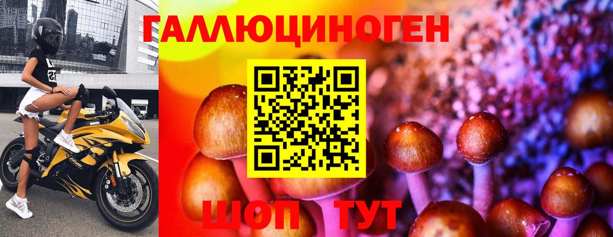 Псилоцибиновые грибы GOLDEN TEACHER Кропоткин